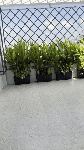 Mua bán Nhà ở Quận 12 Tp Hồ Chí Minh diện tích 72.5 m² giá 9,6 tỷ
