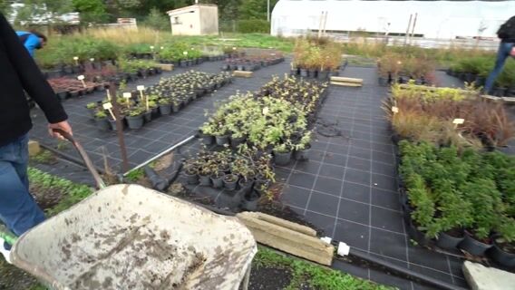 Paysagiste, un métier polyvalent.