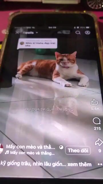 Apple iPhone 6s Đen. Mua bán Điện thoại tại Quận Gò Vấp Tp Hồ Chí Minh được đăng bởi long đẹp trai hình 1