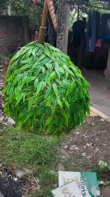 Lồng chim Tre, Lá nhựa Nâu, Xanh lá. Mua bán Phụ kiện, Thức ăn, Dịch vụ tại Huyện Đông Anh Hà Nội được đăng bởi Duy Hưng hình 1
