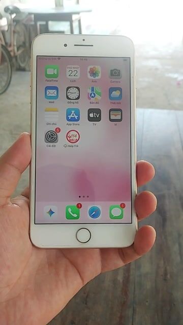 iPhone 8 Plus 64GB Vàng hồng 99% mới. Mua bán Điện thoại tại Huyện Mỏ Cày Bắc Bến Tre được đăng bởi Trường  hình 1
