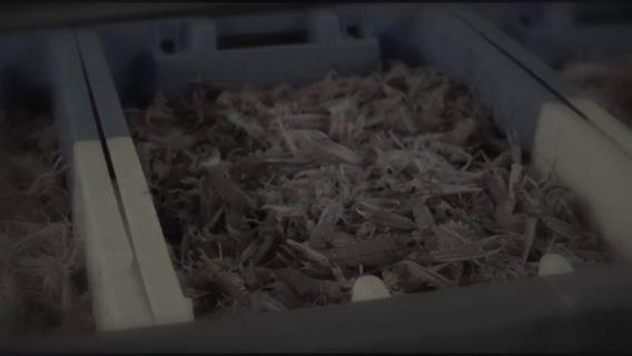 Les métiers du commerce