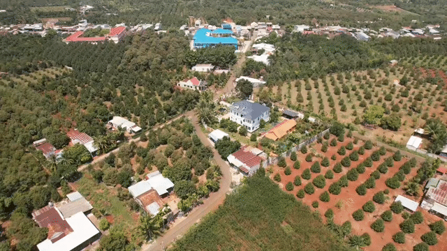 Mua bán Đất Huyện Cẩm Mỹ Đồng Nai diện tích 271.2 m² giá 1,25 tỷ