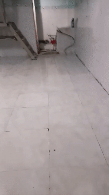 Cho thuê Nhà ở Quận Bình Tân Tp Hồ Chí Minh diện tích 21 m² giá 3,9 triệu/tháng