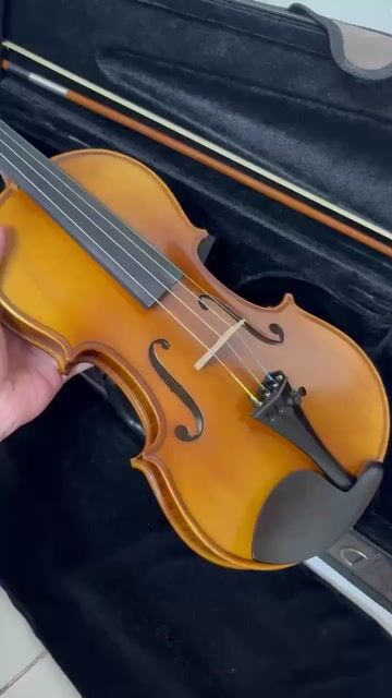 Đàn Violin Nâu Cho Người Mới Học Mới. Mua bán Nhạc cụ tại Quận Gò Vấp Tp Hồ Chí Minh được đăng bởi Nguyễn Sơn hình 1