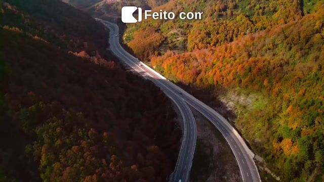 VOLANTE VAI DESAPARECER? CARROS AUTÔNOMOS E O FUTURO DOS MOTORISTAS