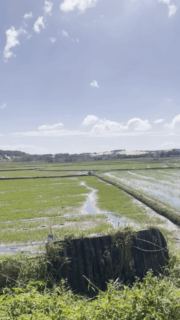 Mua bán Đất Huyện Vạn Ninh Khánh Hòa diện tích 100 m² giá 900 triệu