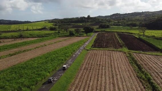 "Un métier, une passion, île au fleurs"