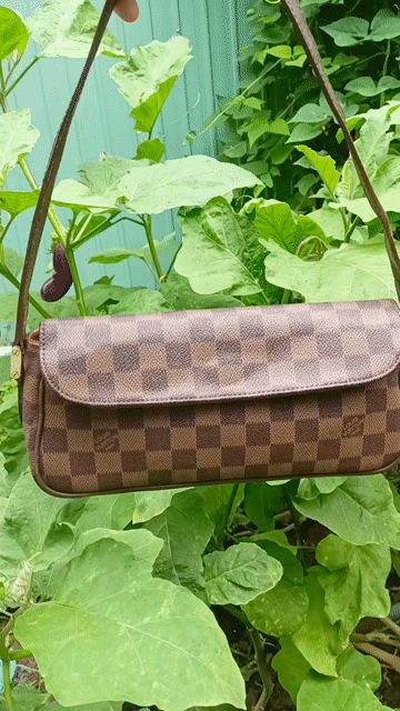 Túi xách Louis Vuitton Nữ Da canvas Nâu. Mua bán Túi xách tại Huyện Cai Lậy Tiền Giang được đăng bởi Phạm Ánh thanh lý hàng hiệu hình 1