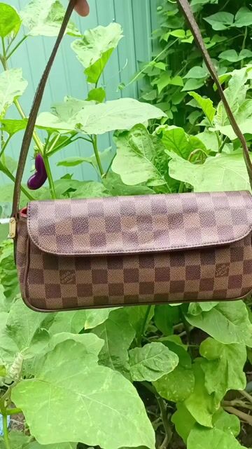 Túi xách Louis Vuitton Nữ Da canvas Nâu. Mua bán Túi xách tại Huyện Cai Lậy Tiền Giang được đăng bởi Phạm Ánh thanh lý hàng hiệu hình 1