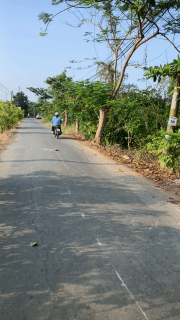 Cho thuê Đất Huyện Bình Chánh Tp Hồ Chí Minh diện tích 1000 m² giá 6 triệu/tháng