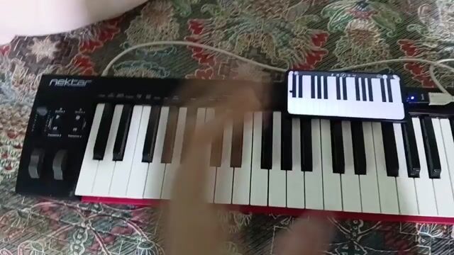 Nektar SE61 2024 Còn mới. Mua bán Nhạc cụ tại Quận Ninh Kiều Cần Thơ được đăng bởi Hồng Kim Duyên hình 1