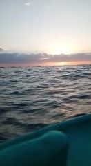 Artisanal Snorkeling Boat Tour for up to 4 Guests