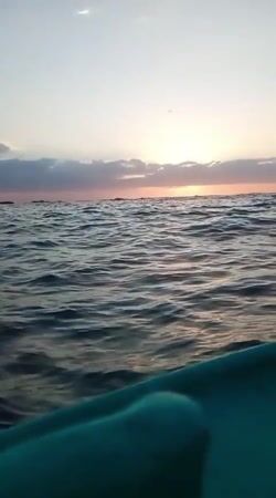 Artisanal Snorkeling Boat Tour for up to 4 Guests