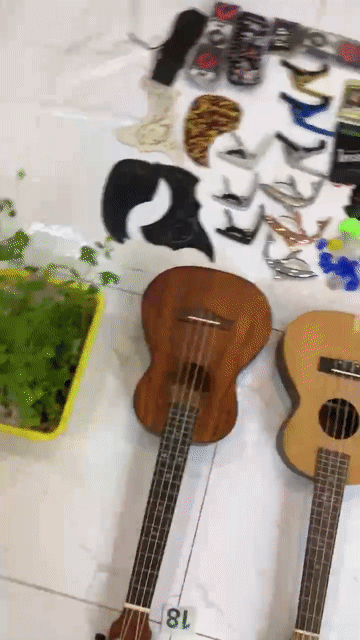 Đàn Ukulele Saprona mới nhập khẩu, bằng gỗ. Mua bán Nhạc cụ tại Thành phố Thủ Đức Tp Hồ Chí Minh được đăng bởi Ngọc Ánh hình 1
