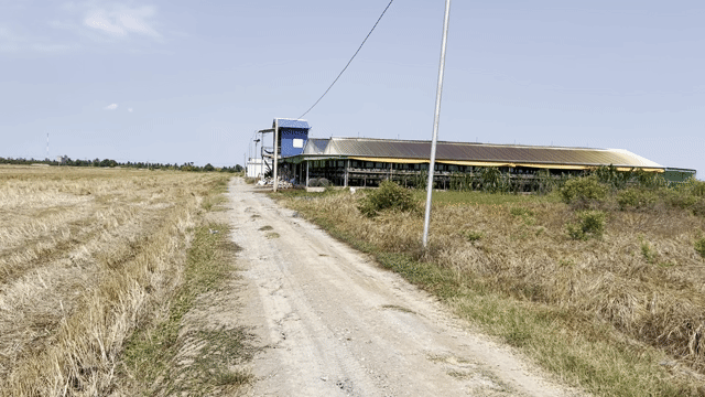 Mua bán Đất Huyện Gò Công Đông Tiền Giang diện tích 500 m² giá 290 triệu