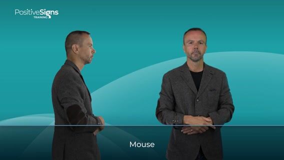 Mouse