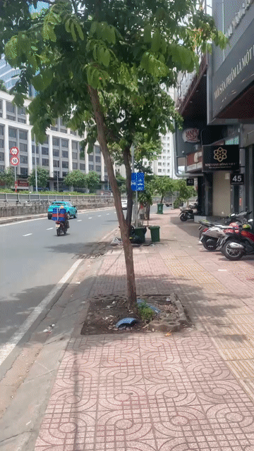 Mua bán Đất Quận Bình Thạnh Tp Hồ Chí Minh diện tích 84.5 m² giá 35 tỷ
