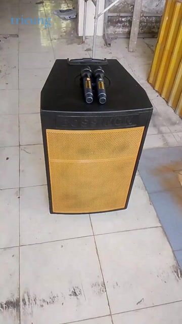Loa kéo BOSSINON Đen. Mua bán Tivi, Âm thanh tại Quận Cái Răng Cần Thơ được đăng bởi Triềung hình 1
