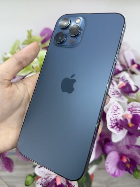 Apple iPhone 12 Pro Max Xanh Cũ. Mua bán Điện thoại tại Thành phố Thủ Dầu Một Bình Dương được đăng bởi Anh Táo Store hình 1