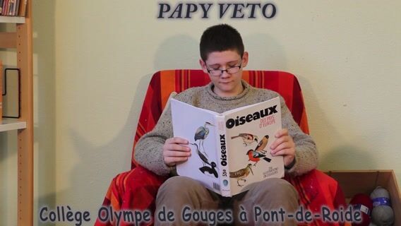 PAPY VETO