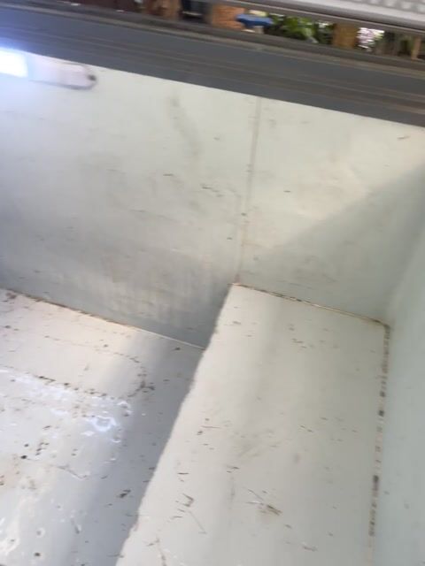 Tủ đông Darling Trắng Lớn 1100 lit 1179 ai. Mua bán Tủ lạnh tại Thành phố Biên Hòa Đồng Nai được đăng bởi TETE VIETNAMFOOD hình 1