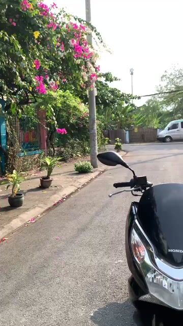 Xe Honda PCX 2010  màu đen máy thái mới 95%. Mua bán Xe máy tại Thành phố Thủ Đức Tp Hồ Chí Minh được đăng bởi Nguyễn Thanh Bình hình 1