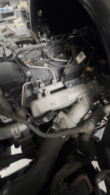 Hyundai N250SL 2019 Trắng 160211 km. Mua bán Xe tải, xe ben tại Huyện Vĩnh Cửu Đồng Nai được đăng bởi Quang Đạt hình 1