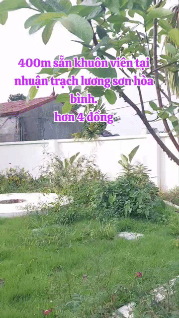 Mua bán Đất Huyện Lương Sơn Hòa Bình diện tích 400 m² giá 4,15 tỷ