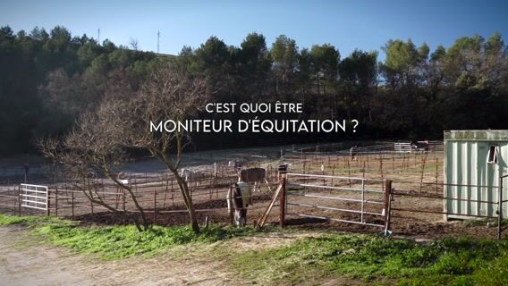 Le métier de moniteur d'équitation