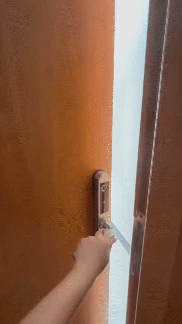 Cho thuê Căn hộ Chung cư Sài Gòn Intela Huyện Bình Chánh Tp Hồ Chí Minh diện tích 50 m² giá 5,5 triệu/tháng