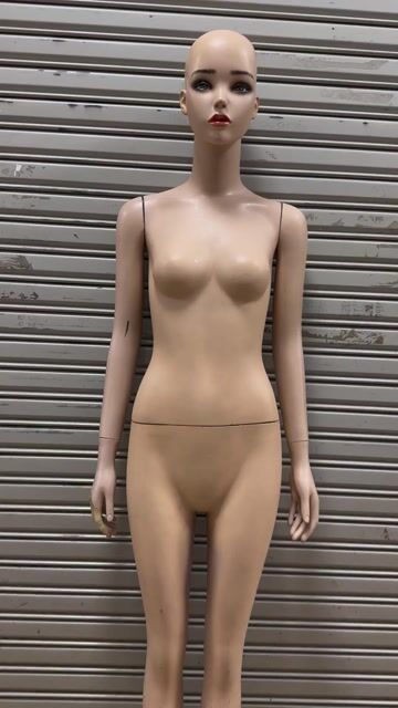 Manocanh Nữ Nhựa Màu Da. Mua bán Đồ chuyên dụng, Giống nuôi trồng tại Quận 5 Tp Hồ Chí Minh được đăng bởi Duyen  hình 1