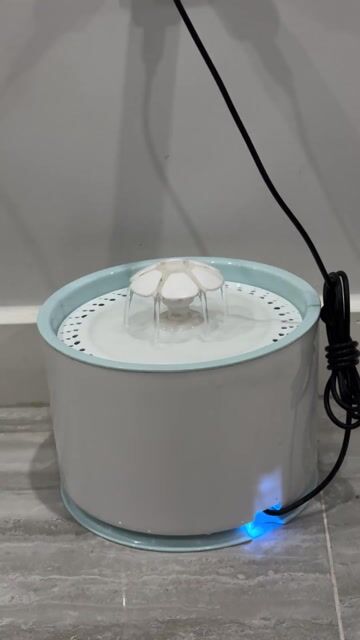 Máy uống nước Mèo Trắng xanh Dễ vệ sinh. Mua bán Phụ kiện, Thức ăn, Dịch vụ tại Thành phố Dĩ An Bình Dương được đăng bởi Phan Nhiên hình 1