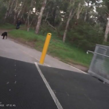DOG! – Off Lead With Amblivious Owner Shared on UpRide: Abused for being in the primary position