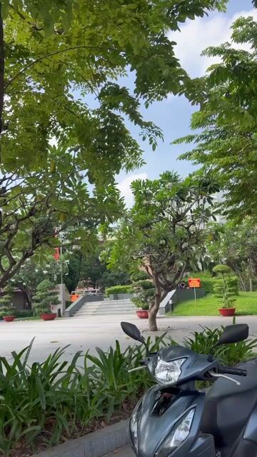 Honda Vision 2023 Đặc Biệt Bánh Lớn Xanh Đen. Mua bán Xe máy tại Quận 11 Tp Hồ Chí Minh được đăng bởi Hưng Từ hình 1