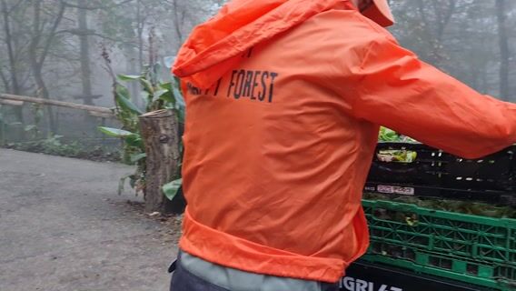 Au petit soin des animaux