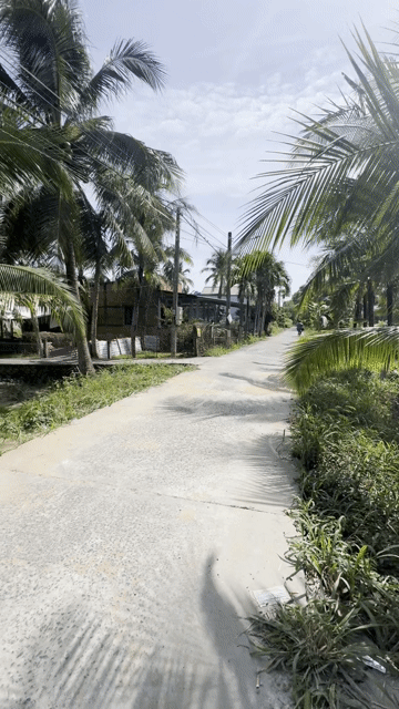 Mua bán Đất Thành phố Bến Tre Bến Tre diện tích 967 m² giá 1,05 tỷ