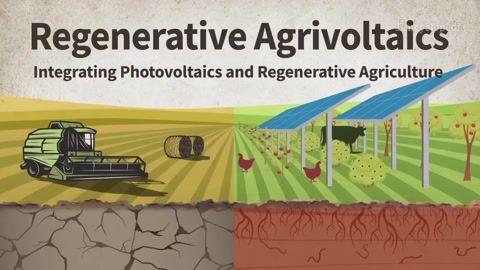 Encyclopedia-Regenerative Agrivoltaics