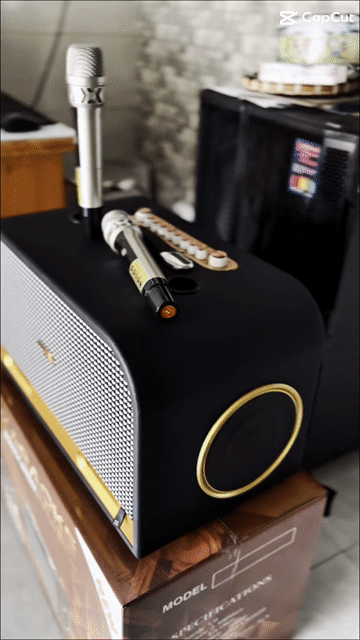 Loa karaoke di động C9-Pro. Mua bán Tivi, Âm thanh tại Quận 12 Tp Hồ Chí Minh được đăng bởi Thai Pham hình 1