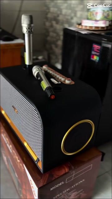 Loa karaoke di động C9-Pro. Mua bán Tivi, Âm thanh tại Quận 12 Tp Hồ Chí Minh được đăng bởi Thai Pham hình 1