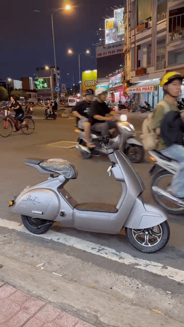 Xe máy điện Vespa Pemel Xám. Mua bán Xe máy tại Quận 12 Tp Hồ Chí Minh được đăng bởi Ten Ten hình 1