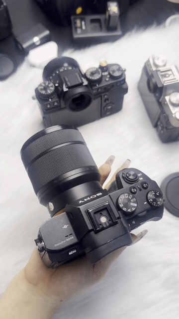 Máy ảnh Sony A7II Đã sử dụng. Mua bán Máy ảnh, Máy quay tại Quận 3 Tp Hồ Chí Minh được đăng bởi Lê Nhung hình 1