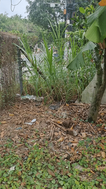 Cho thuê Nhà ở Huyện Bình Chánh Tp Hồ Chí Minh diện tích 400 m² giá 5 triệu/tháng