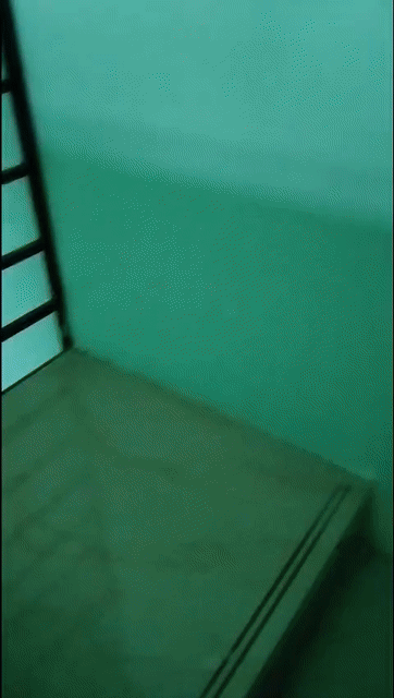 Mua bán Nhà ở Huyện Nhà Bè Tp Hồ Chí Minh diện tích 174 m² giá 7,3 tỷ