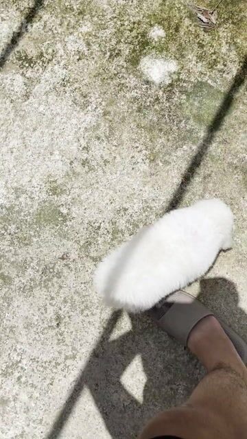 bichon mix poodle. Mua bán Chó tại Quận Bình Thạnh Tp Hồ Chí Minh được đăng bởi Nguyễn phúc hình 1