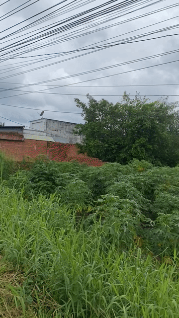 Mua bán Đất Thành phố Tây Ninh Tây Ninh diện tích 1042 m² giá 2,19 tỷ