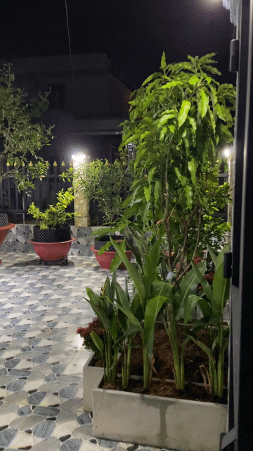 Mua bán Nhà ở Huyện Cần Đước Long An diện tích 152 m² giá 2,35 tỷ