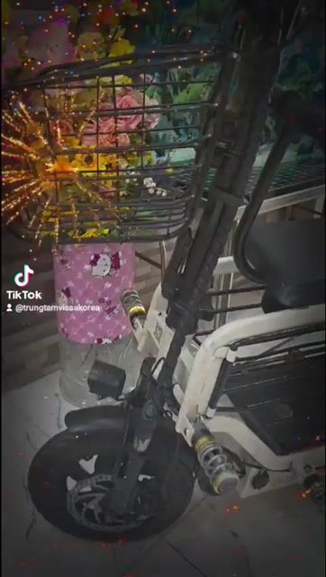 Xe đạp điện đã qua sử dụng 95%. Mua bán Xe đạp tại Quận Tân Bình Tp Hồ Chí Minh được đăng bởi hoa mai  hình 1