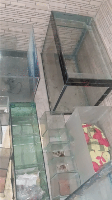 Hồ cá kính đã qua sử dụng. Mua bán Phụ kiện, Thức ăn, Dịch vụ tại Huyện Cần Giuộc Long An được đăng bởi nhok giang hình 1