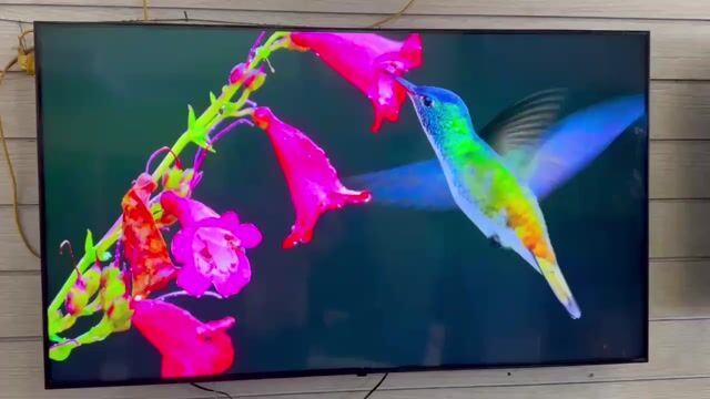 Tivi LG 65 inch 4K Nanocell 2022 cao cấp . Mua bán Tivi, Âm thanh tại Quận 7 Tp Hồ Chí Minh được đăng bởi Hoàng Long Tivi  hình 1